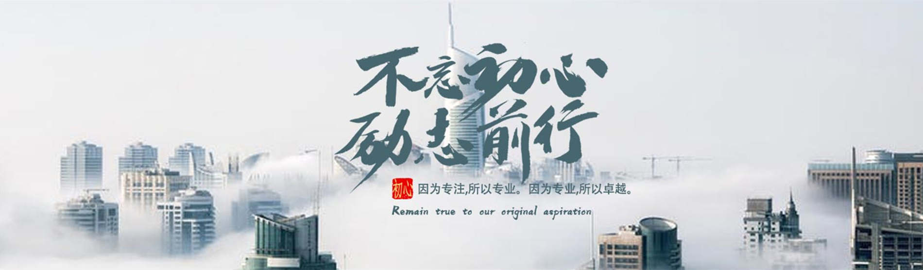 你的意义是什么小程序